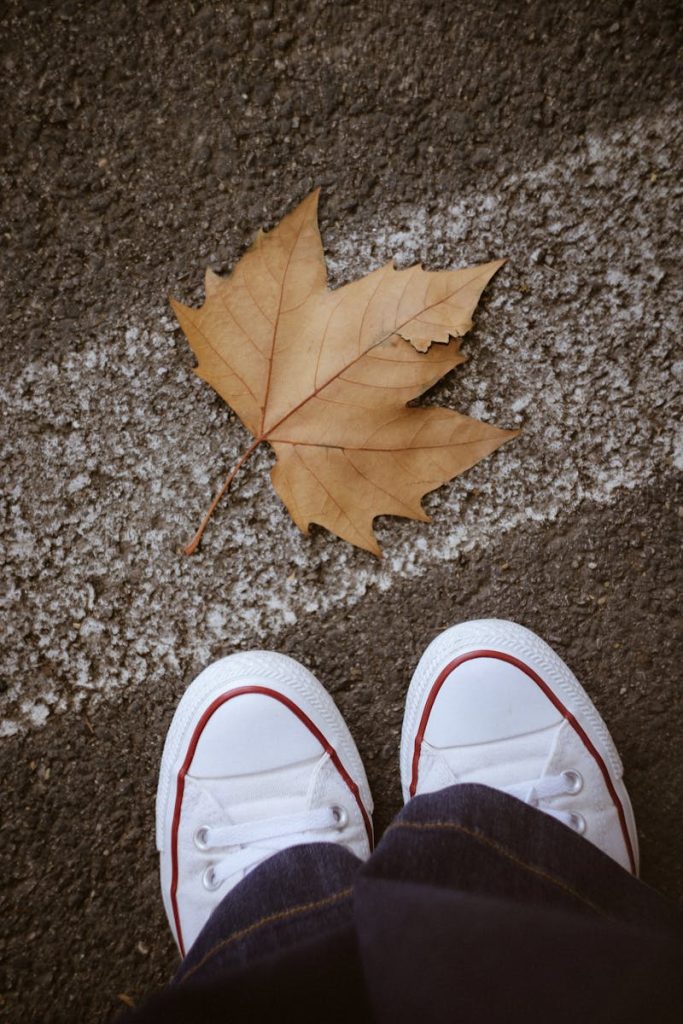 Autumn Leaf Near Sneakers on Asphalt Surface